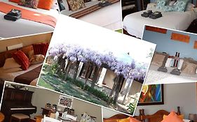 Top House Bed And Breakfast
